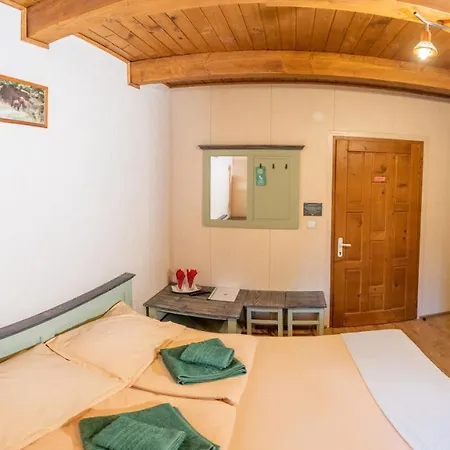 Guest house Pensiunea Vanatorul BaileTusnad