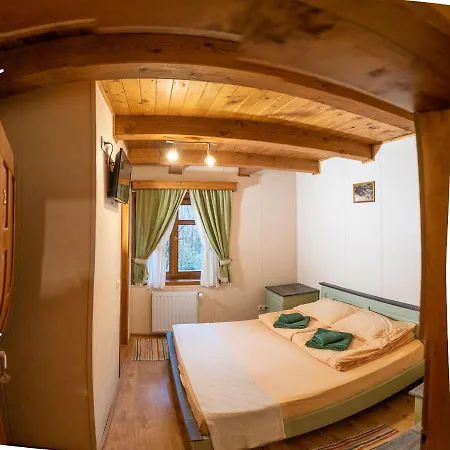 Pensiunea Vanatorul Guest house
