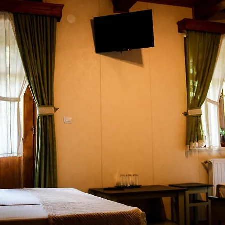 Pensiunea Vanatorul Guest house