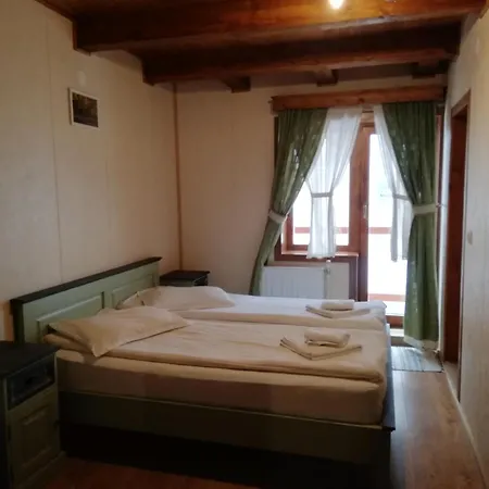 Pensiunea Vanatorul Guest house 3*